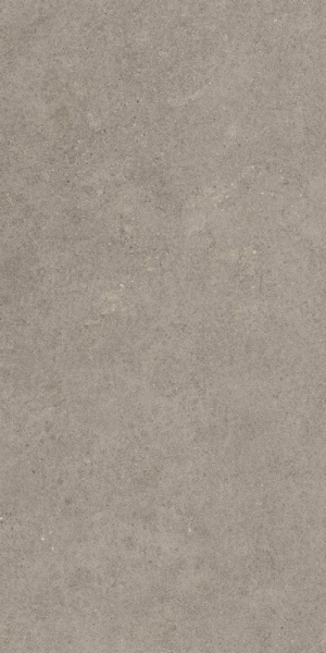 Керамогранит / Atlas Concorde Russia /Forte Dei Marmi Rock/ Форте Дей Марми Рок / Лунар Грей 80х160 Рет.  / Lunar Grey Rett 80x160